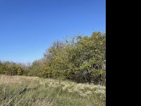 Eladó mezogazdasagi ingatlan, Ürömön 15 M Ft