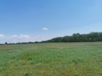 Eladó telek, Alsónémediben 880 M Ft / költözzbe.hu