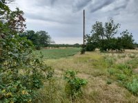 Eladó mezogazdasagi ingatlan, Szolnokon 8.5 M Ft