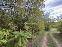 Eladó mezogazdasagi ingatlan, Sülysápon 24 M Ft, 2 szobás