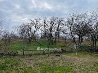 Eladó családi ház, Pakson 95 M Ft, 3 szobás