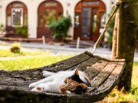 Eladó üzlethelyiség, Újlengyelen 748 M Ft, 1 szobás