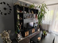 Eladó téglalakás, Gyöngyösön 47.9 M Ft, 2+1 szobás