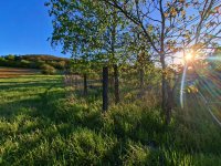 Eladó telek, Esztergomban 9.9 M Ft / költözzbe.hu
