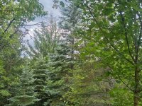 Eladó mezogazdasagi ingatlan, Miskolcon 4 M Ft