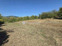 Eladó telek, Vácon 150 M Ft / költözzbe.hu