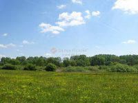 Eladó telek, Regenyén 3.5 M Ft / költözzbe.hu