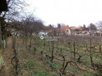 Eladó telek, Velencén 23.9 M Ft / költözzbe.hu