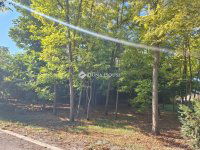 Eladó családi ház, Bácsborsódon 39.9 M Ft, 5 szobás