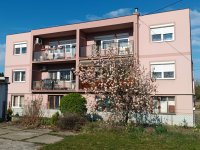 Eladó téglalakás, Ajkán 52.9 M Ft, 3 szobás