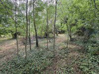 Eladó telek, Balatonedericsen 19.5 M Ft / költözzbe.hu