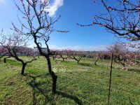 Eladó telek, Siófokon 127 M Ft / költözzbe.hu