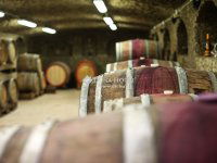 Eladó mezogazdasagi ingatlan