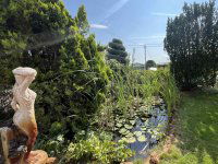 Eladó családi ház, Kecskeméten 75 M Ft, 3 szobás