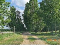 Eladó mezogazdasagi ingatlan, Mikepércsen 570 M Ft