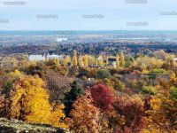 Eladó családi ház, Szentendrén 60 M Ft, 1 szobás