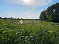 Eladó családi ház, Tápiószecsőn 74.9 M Ft, 5 szobás