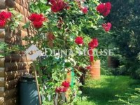 Eladó családi ház, Birjánon 84.9 M Ft, 4 szobás