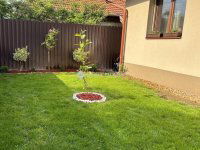 Eladó családi ház, Kecskeméten 99.9 M Ft, 6 szobás