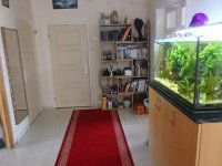 Eladó családi ház, Monoron 105 M Ft, 5 szobás