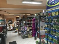 Eladó családi ház, Nagyvenyimen 90 M Ft, 3 szobás