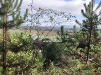 Eladó telek, Mogyorósbányán 5 M Ft / költözzbe.hu