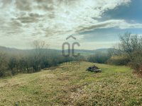 Eladó telek, Balatonszőlősön 40 M Ft / költözzbe.hu