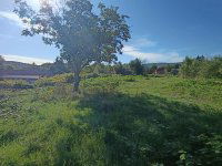 Eladó telek, Tatabányán 65 M Ft / költözzbe.hu