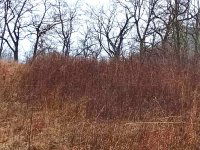 Eladó telek, Óbarokon 14.3 M Ft / költözzbe.hu