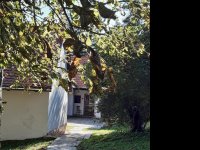 Kiadó téglalakás, albérlet, Pécsett 100 E Ft / hó, 1 szobás