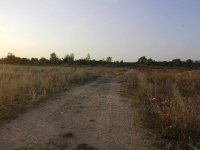 Eladó telek, Hajmáskéren 12.7 M Ft / költözzbe.hu