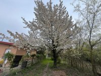 Eladó telek, Szigetszentmiklóson 14.9 M Ft / költözzbe.hu