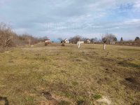 Eladó mezogazdasagi ingatlan, Bicskén 38 M Ft, 1 szobás