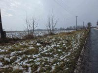 Eladó mezogazdasagi ingatlan