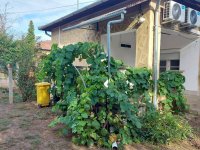 Eladó családi ház, Csanádapácán 14.5 M Ft, 2 szobás