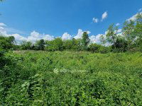 Eladó telek, Mihályházán 2.55 M Ft / költözzbe.hu