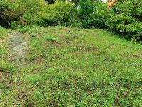 Eladó telek, Solymáron 81.9 M Ft / költözzbe.hu