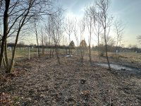 Eladó telek, Siófokon 25 M Ft / költözzbe.hu