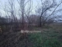 Eladó telek, Albertirsán 6.5 M Ft / költözzbe.hu