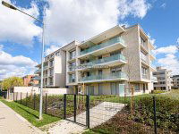 Kiadó téglalakás, albérlet