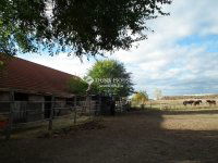 Eladó mezogazdasagi ingatlan, Nagytarcsán 99 M Ft, 1 szobás