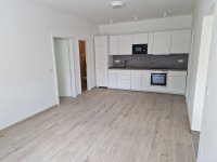 Kiadó téglalakás, albérlet, Dunakeszin, Martinovics utcában