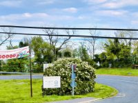 Eladó családi ház, Tihanyban 150 M Ft, 4+1 szobás