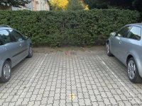 Kiadó garázs, Szegeden, Csaplár Benedek utcában 18 E Ft / hó