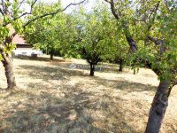 Eladó nyaraló, Nadapon 48.7 M Ft, 1+1 szobás