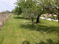 Eladó telek, Pázmándon 12.9 M Ft / költözzbe.hu