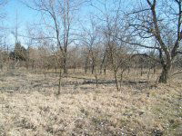 Eladó ipari ingatlan, Ballószögön 18 M Ft / költözzbe.hu