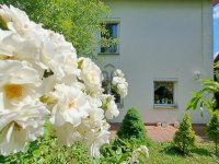 Eladó nyaraló, Velencén 95 M Ft, 3 szobás / költözzbe.hu