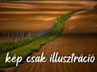 Eladó mezogazdasagi ingatlan, Ráckevén 2.9 M Ft