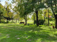 Eladó mezogazdasagi ingatlan, Lajosmizsén 205 M Ft, 22+4 szobás